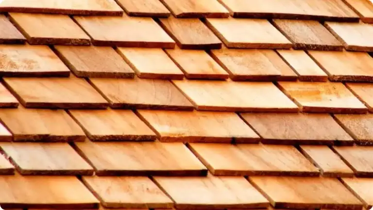 Cedar shake & shingles
